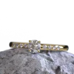 ring_3.1224.1