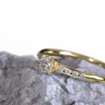 ring_3.1224.2