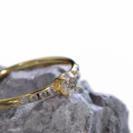 ring_3.1224.3